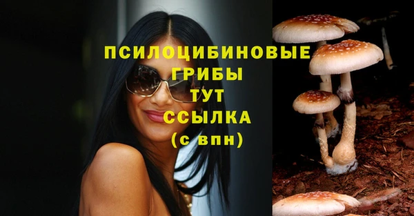 марки lsd Медвежьегорск