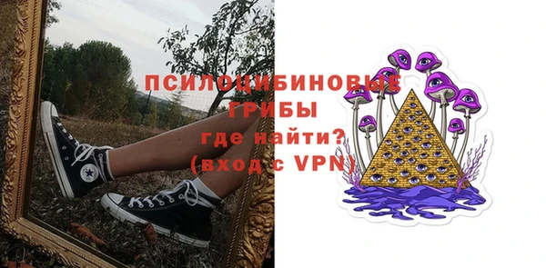 амф Мегион