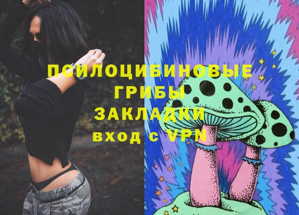 амф Мегион