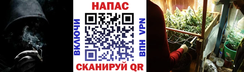 МАРИХУАНА Ganja  Талица 